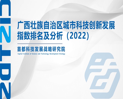 女人的逼欠操【成果发布】广西壮族自治区城市科技创新发展指数排名及分析（2022）